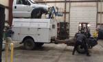 1994 Ford Probe - A tow truck is transporting a white pickup truck, with a person attending to the trailer hitch.