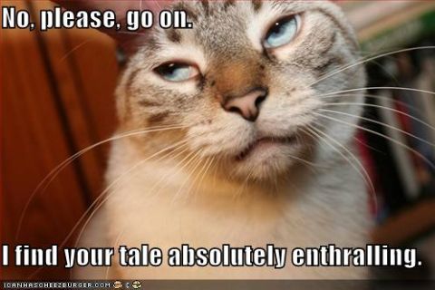 2000 Mercury Grand Marquis - A cat appears unimpressed by a story, with text overlays adding to the meme's humor.