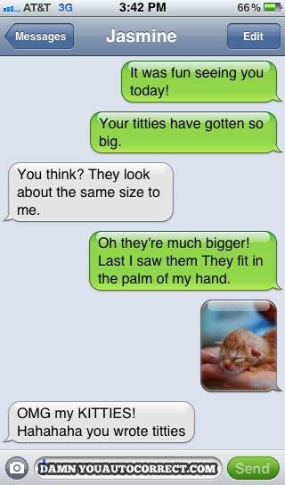 2000 Mercury Grand Marquis - A text message conversation is displayed, including a photo of a kitten held in a hand.