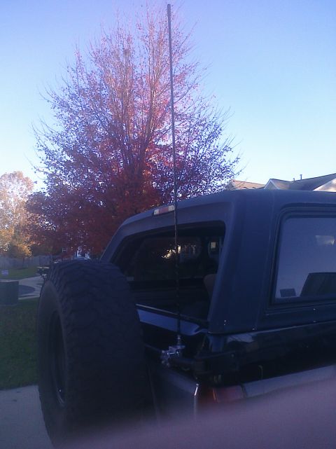 1995 Ford Bronco - Rear view of a 1995 Ford Bronco, showing the spare tire and antenna against a backdrop of autumn trees.