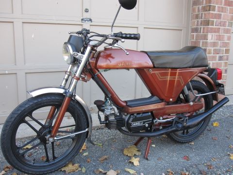 1981 Garelli Rally Sport - A brown Garelli moped is parked in front of a garage door, with fallen leaves on the ground.