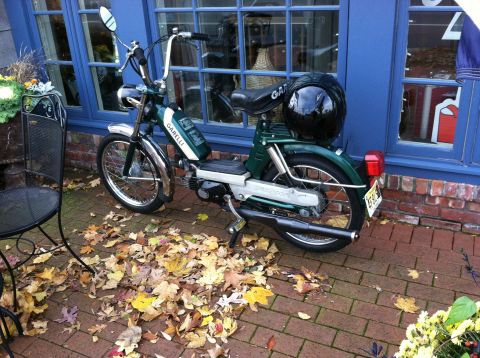 1981 Garelli Rally Sport - A green Garelli moped is parked outside a building with blue windows, surrounded by autumn leaves.