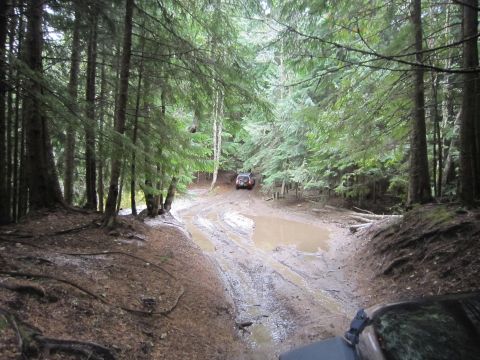 2008 Jeep Wrangler - Two SUVs drive through a muddy forest trail with deep puddles and trees on either side.