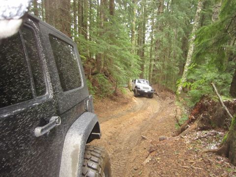 2008 Jeep Wrangler - Two Jeeps navigate a muddy trail through a dense forest.