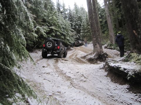 2008 Jeep Wrangler - Multiple Jeeps navigate a snowy, wooded trail in the mountains.