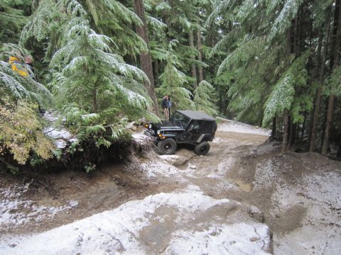 2008 Jeep Wrangler - A Jeep Wrangler drives through a challenging, snow-dusted forest path with tall evergreen trees.