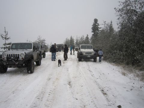 2008 Jeep Wrangler - Jeep convoy stopped on a snowy trail during winter conditions.