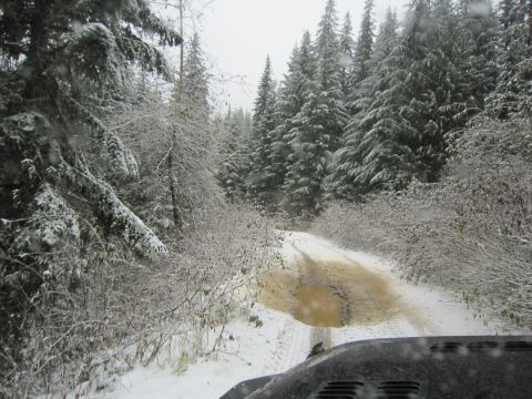 2008 Jeep Wrangler - A 2008 Jeep Wrangler navigates a muddy and snow-dusted path through a dense evergreen forest.