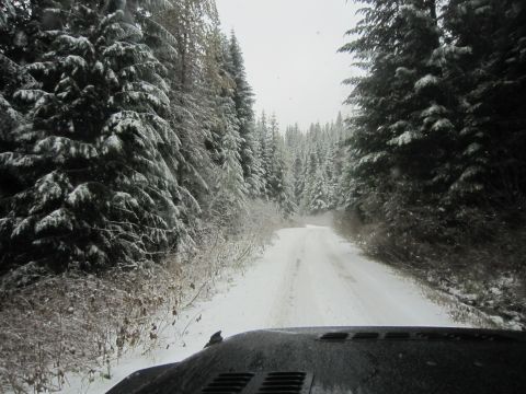 2008 Jeep Wrangler - Driving on a snow-covered forest road.