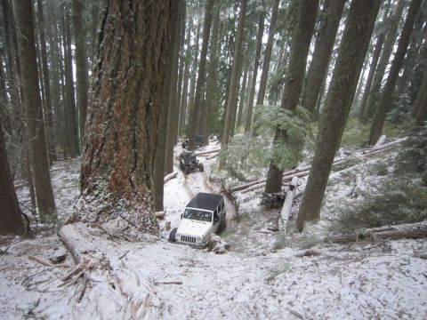 2008 Jeep Wrangler - A convoy of Jeeps navigates a challenging, snow-dusted path through a thick forest.