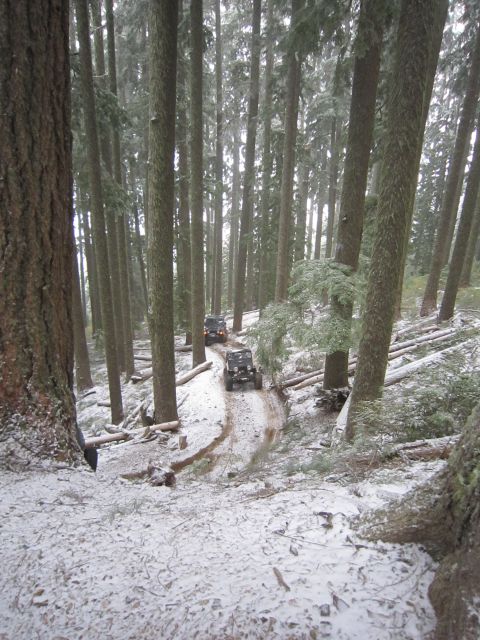 2008 Jeep Wrangler - Jeeps navigate a snowy path through a dense forest with fallen logs.