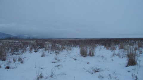 1986 Chevrolet Blazer - A vast, snow-covered field stretches towards the horizon under an overcast sky.