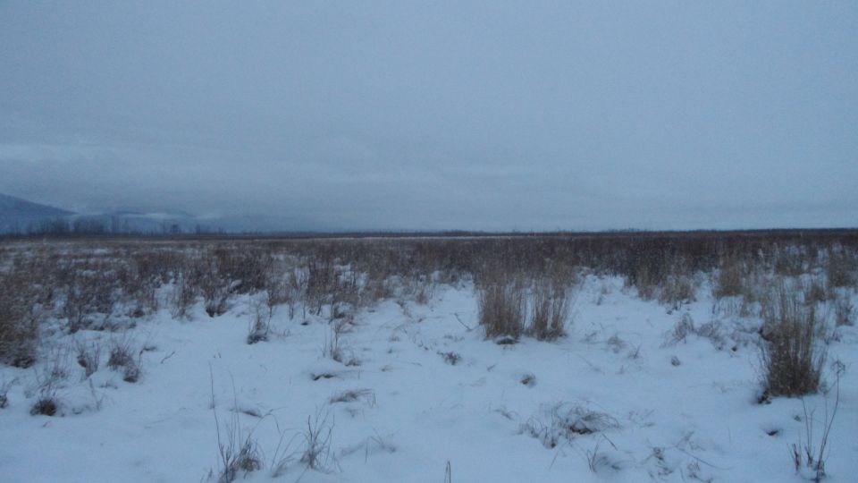 snowy field with dry grass and distant hills under a cloudy sky