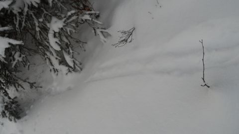 1986 Chevrolet Blazer - A winter scene with snow-covered branches and a watermark at the bottom right.