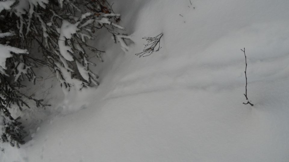 Snowy landscape with branches and a watermark
