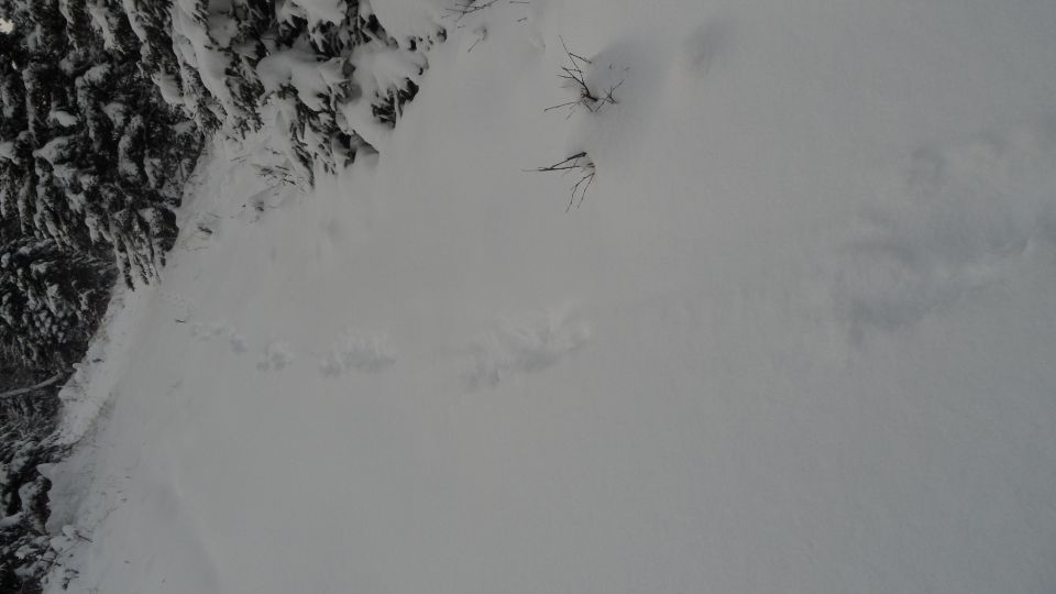 Snowy landscape with trees and a Supermotors watermark