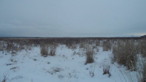 1986 Chevrolet Blazer - A vast, snow-covered field with sparse, dry vegetation stretches under a cloudy sky.