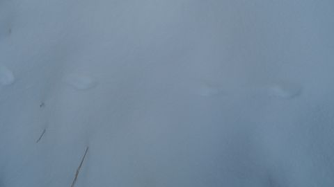 1986 Chevrolet Blazer - A winter scene showing snow-covered ground with subtle impressions.
