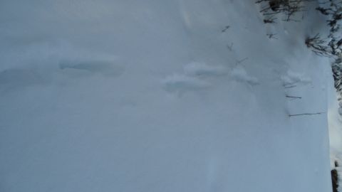 1986 Chevrolet Blazer - Tire tracks are visible in the snow, suggesting vehicle passage. A Supermotors.net watermark is present in the lower right corner.