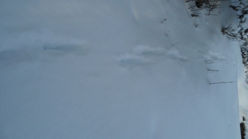 Snowy ground with tire tracks and a Supermotors.net watermark