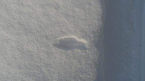 1986 Chevrolet Blazer - Shadow of a car is visible on a snow-covered ground.