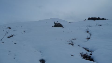 1986 Chevrolet Blazer - A vast, snow-covered mountain scene under an overcast sky, with sparse trees dotting the landscape.