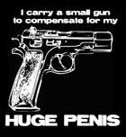 2000 Mercury Grand Marquis - A graphic image displays a pistol alongside text making a humorous statement.