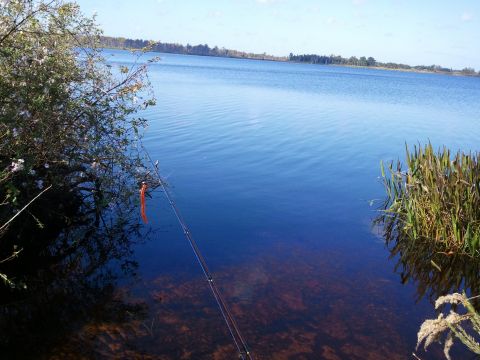 1994 Ford Bronco - Fishing rod and reel set up by a lake on a clear day. The image includes a watermark for SUPERMOTORS.NET.