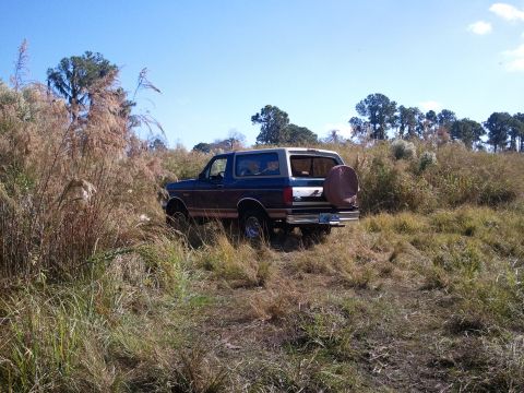 1994 Ford Bronco - A Ford Bronco drives through tall grass under a clear blue sky.