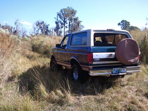 1994 Ford Bronco - A 1994 Ford Bronco is parked in a field of tall grass and brush under a clear blue sky.