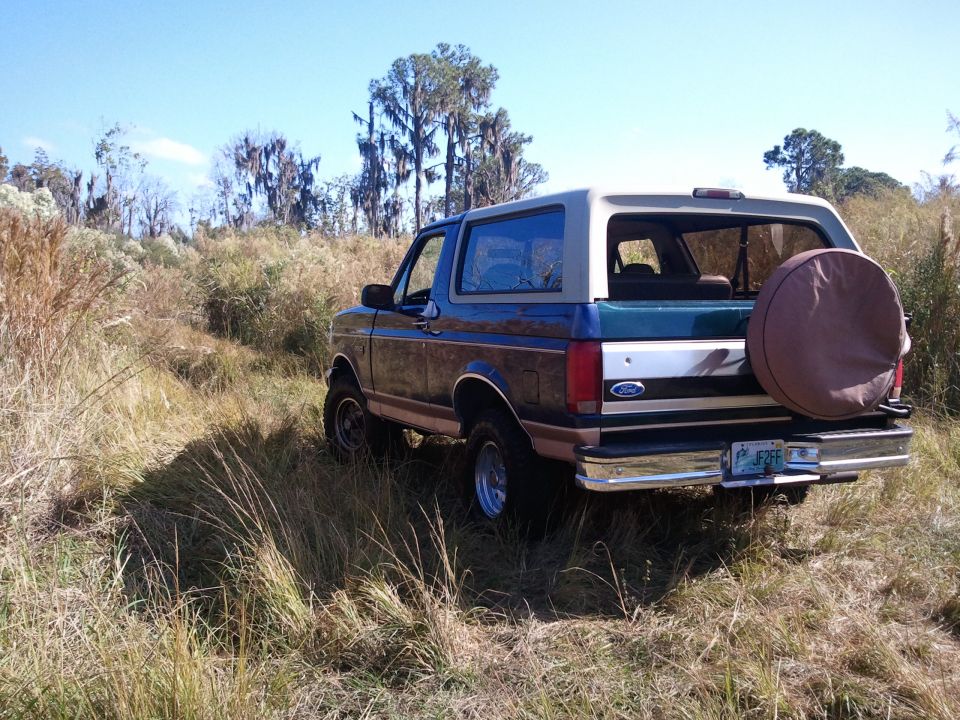 1994 Ford Bronco rear view in grassy field with spare tire cover