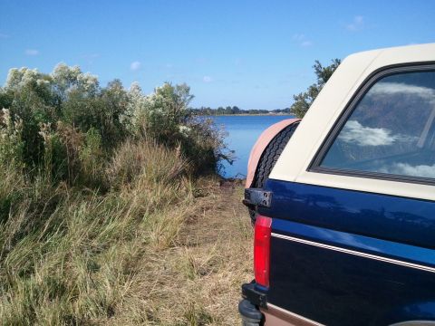 1994 Ford Bronco - Rear view of a 1994 Ford Bronco parked by a body of water with tall grass in the foreground.