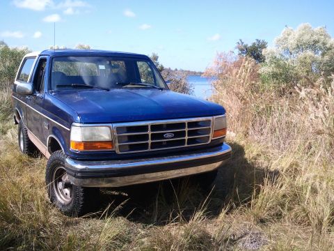 1994 Ford Bronco - A blue Ford Bronco is parked off-road in tall, dry grass with a lake in the background.