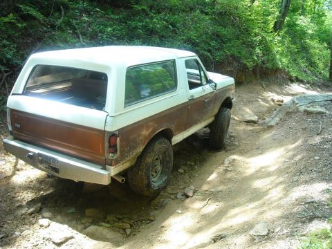 1989 Ford Bronco - This classic Ford Bronco navigates a rocky off-road path surrounded by lush green foliage.
