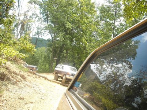 1989 Ford Bronco - Two SUVs navigate a dirt path through a wooded area.