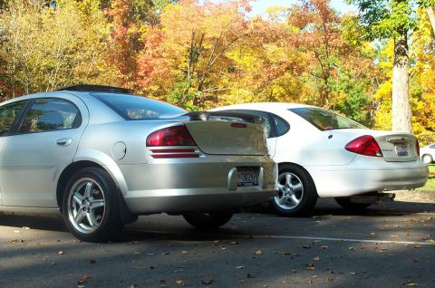 2001 Ford Taurus - Two sedans parked outdoors with autumn foliage in the background. One is silver, the other white.