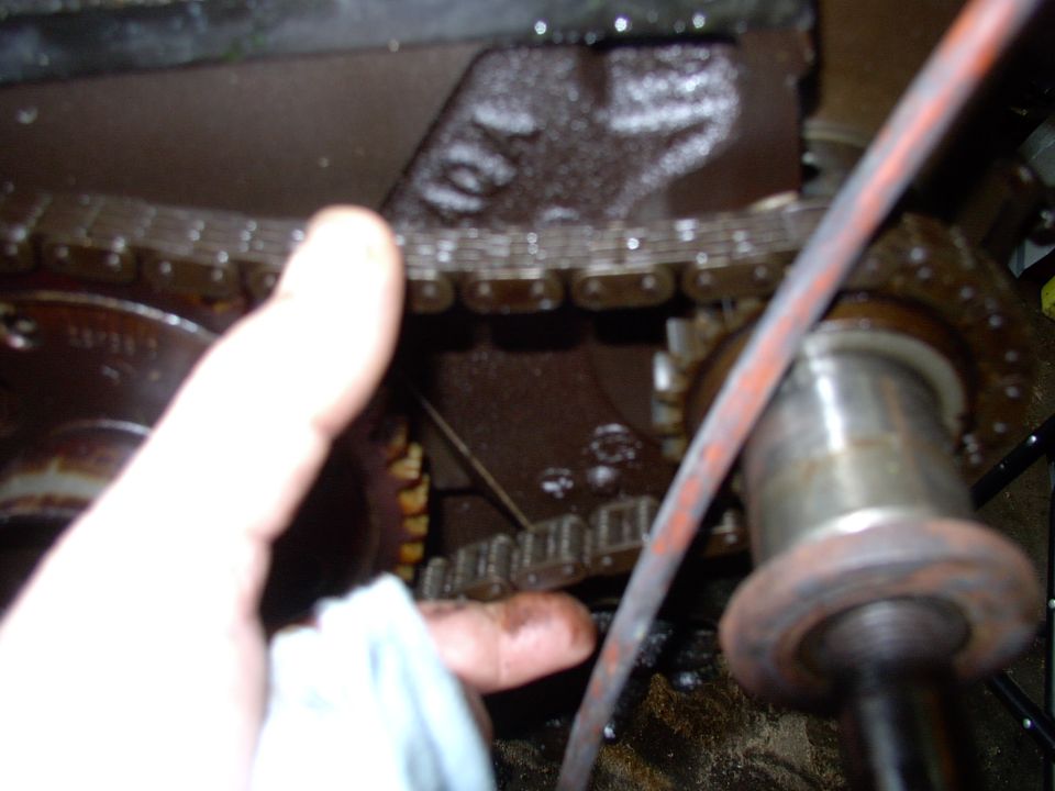 Chain seems a little whipped, but I've seen worse. It will be replaced with a double row timing chain/gear set and a Magnum style MP chain tensioner, so it will never be slack again.