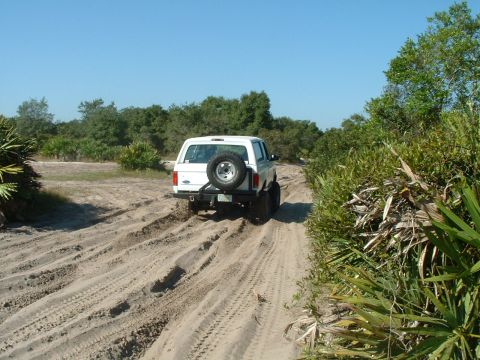1995 Ford Bronco - A white SUV navigates a sandy path surrounded by coastal vegetation under a clear blue sky.