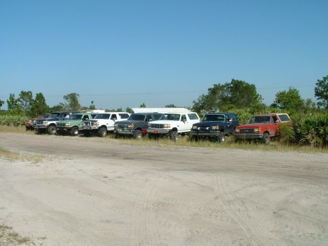 1995 Ford Bronco - A group of Ford Broncos and F-150s are parked side-by-side on a dirt lot under a clear blue sky.