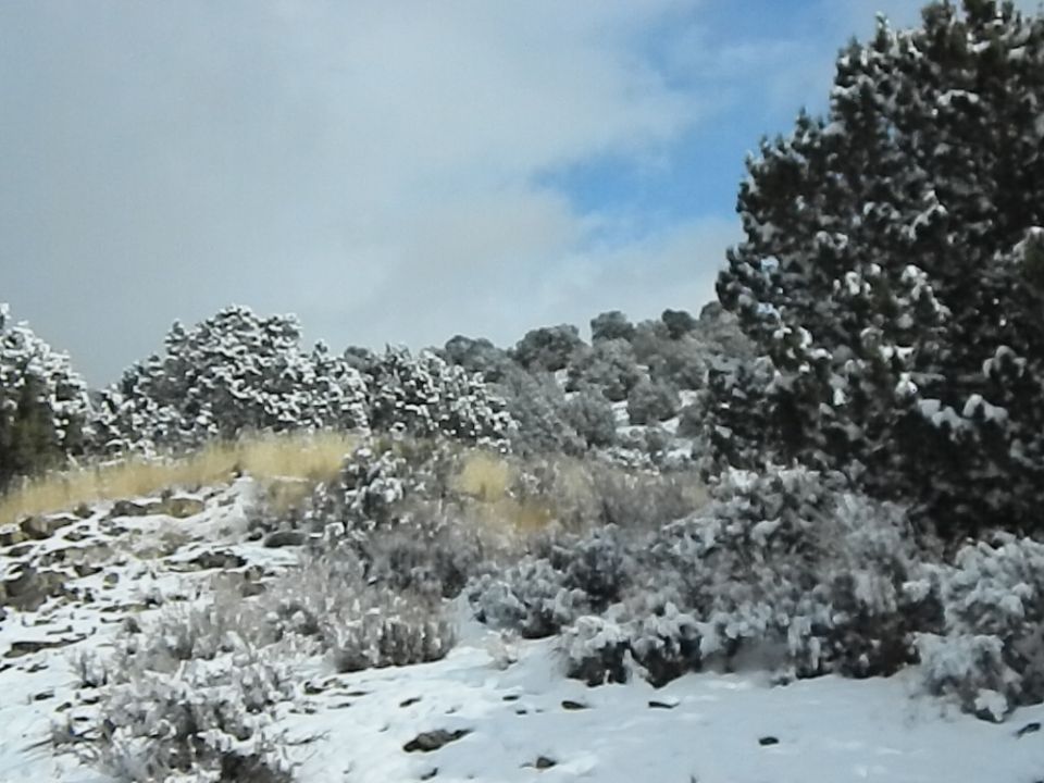 Snow-covered ground and vegetation under a cloudy sky with blue patches