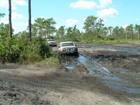 1995 Ford Bronco - Two white SUVs are shown driving through a muddy terrain with trees and a blue sky overhead.