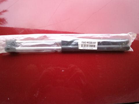 1998 Ford Crown Victoria - Hood struts in plastic packaging with a part number label are shown against a red background.