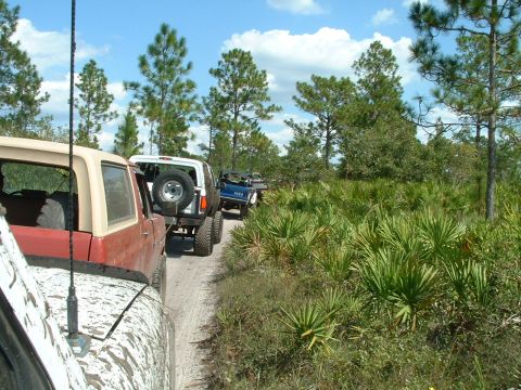 1995 Ford Bronco - A convoy of SUVs drives down a dusty trail surrounded by dense vegetation under a partly cloudy sky.
