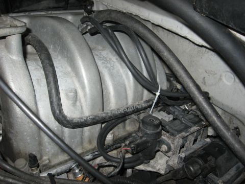 1994 Ford Bronco - Engine vacuum lines and intake manifold detail. A hose shows part number F4TE-6A664-AB.