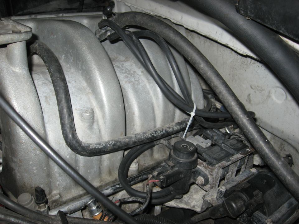 Close-up of engine vacuum lines connected to an intake manifold. Part number F4TE-6A664-AB is visible on a hose