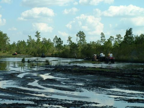 1995 Ford Bronco - ATVs navigate a challenging muddy terrain in a swampy area with dense foliage.