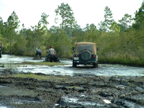 1995 Ford Bronco - Two vehicles navigate a muddy trail surrounded by trees and water.