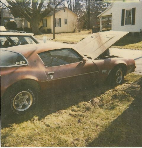 1978 Pontiac Trans Am - A brown 1978 Pontiac Trans Am is parked on the side of the road with its hood up.