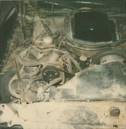1978 Pontiac Trans Am - Engine bay of a 1978 Pontiac Trans Am, showing the V8 engine and associated components.