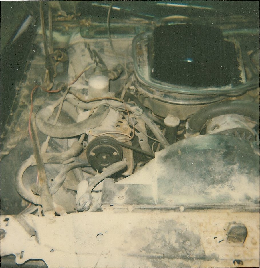 1978 Pontiac Trans Am engine bay with V8 engine, air cleaner, belts, and hoses